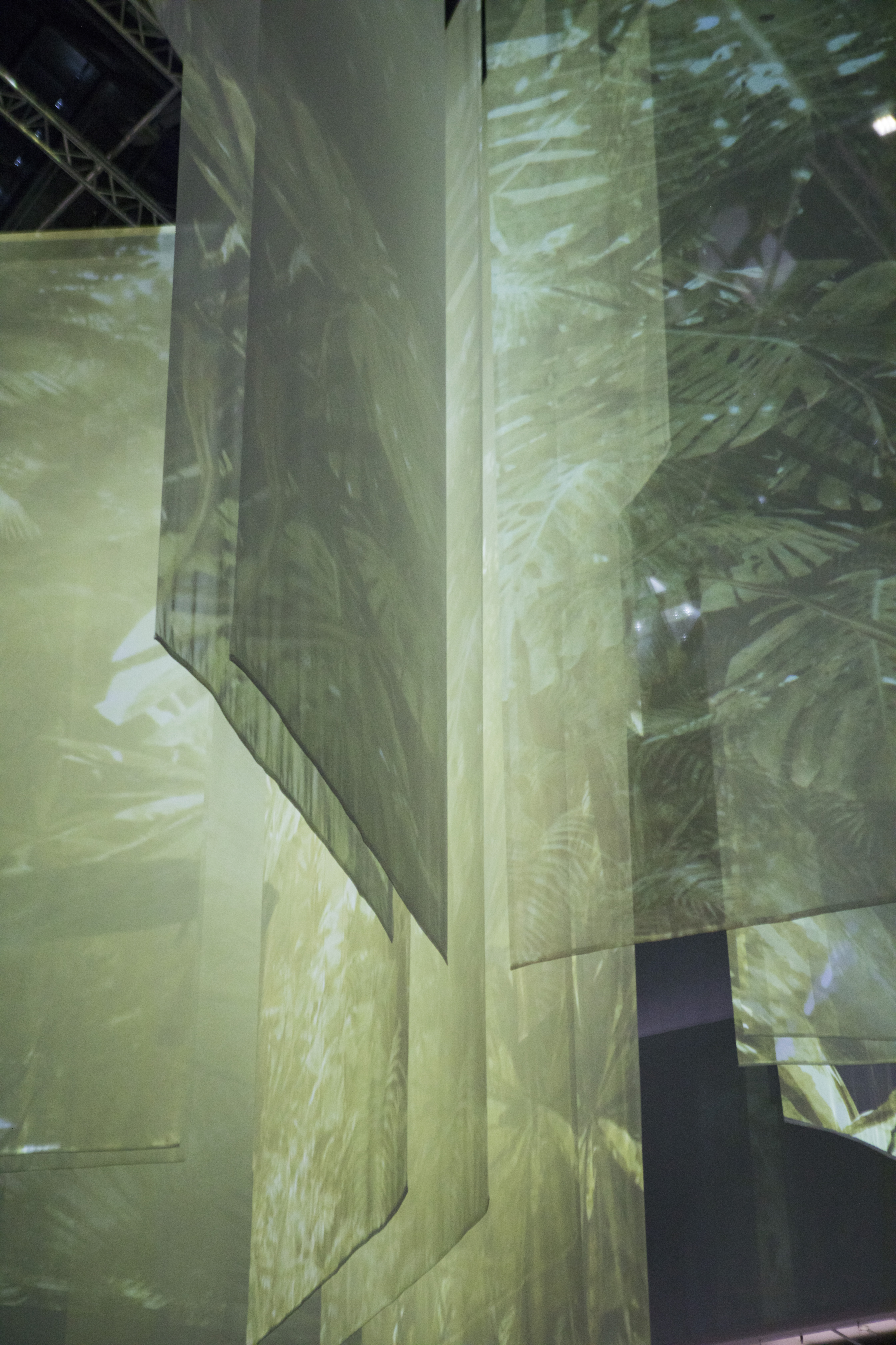 Blick in die Ausstellung »The Art of Immersion III. Inside Tumucumaque«