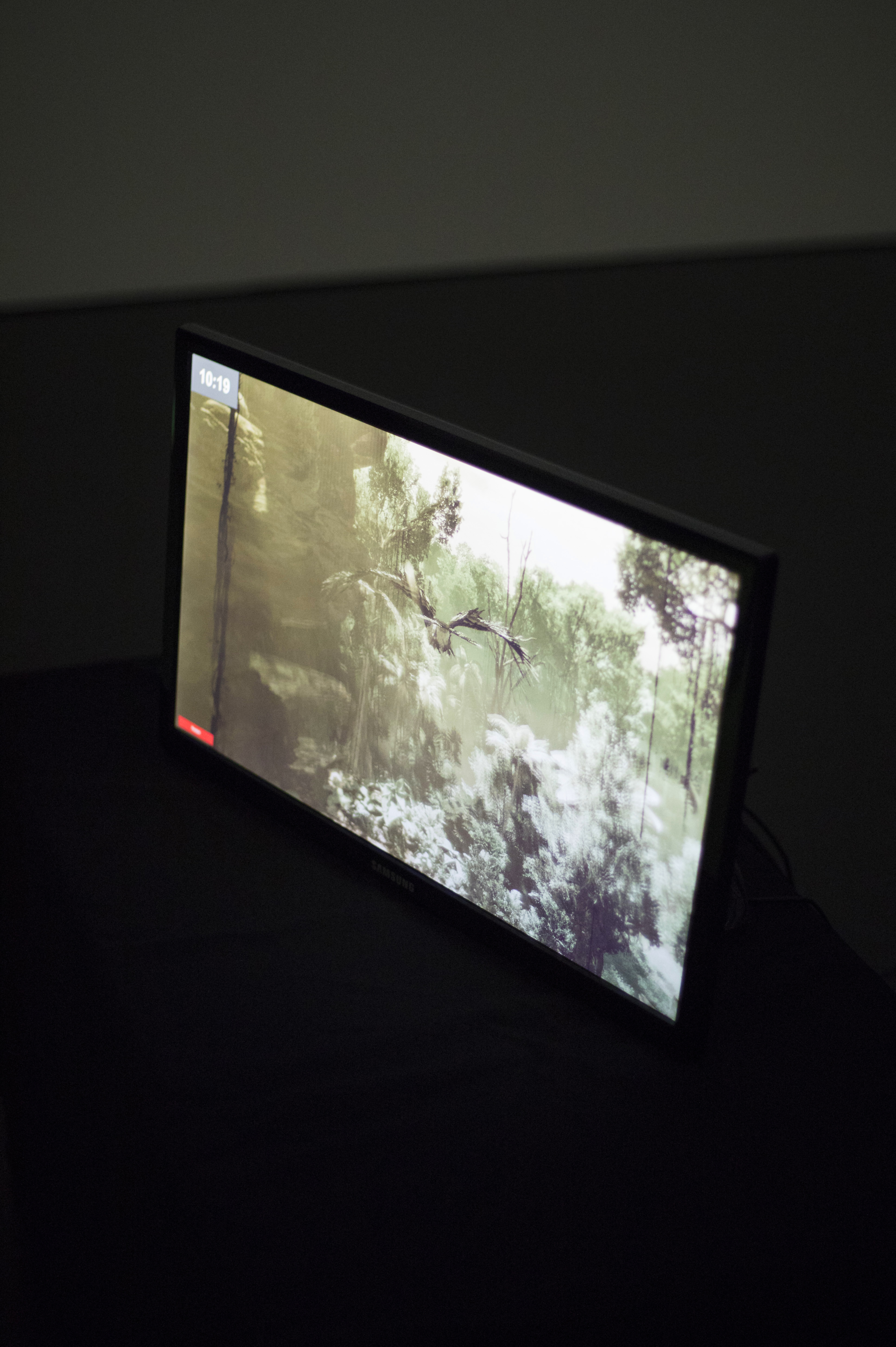 Blick in die Ausstellung »The Art of Immersion III. Inside Tumucumaque«