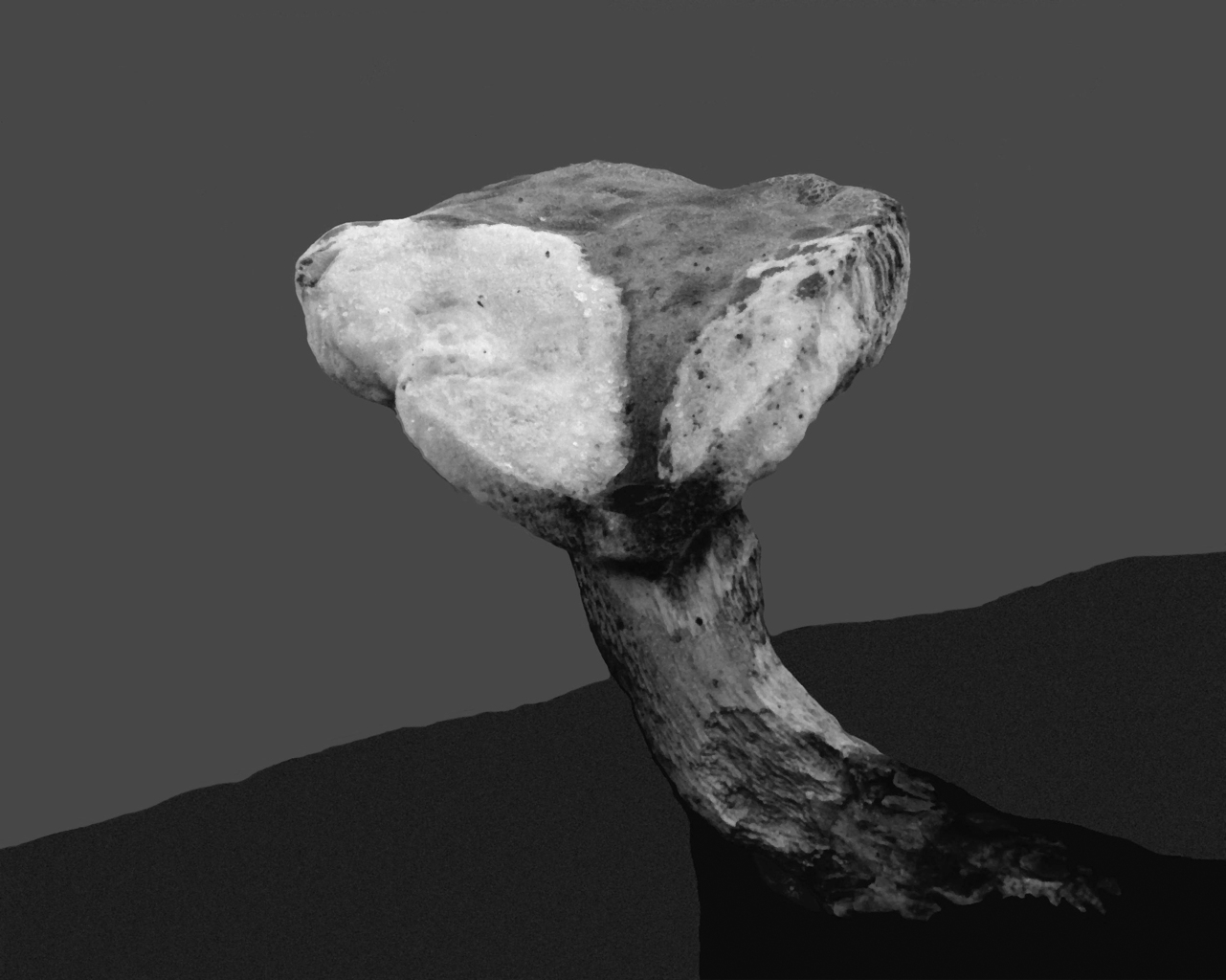 Mushroom