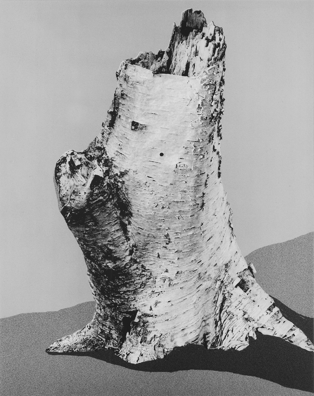 Replica