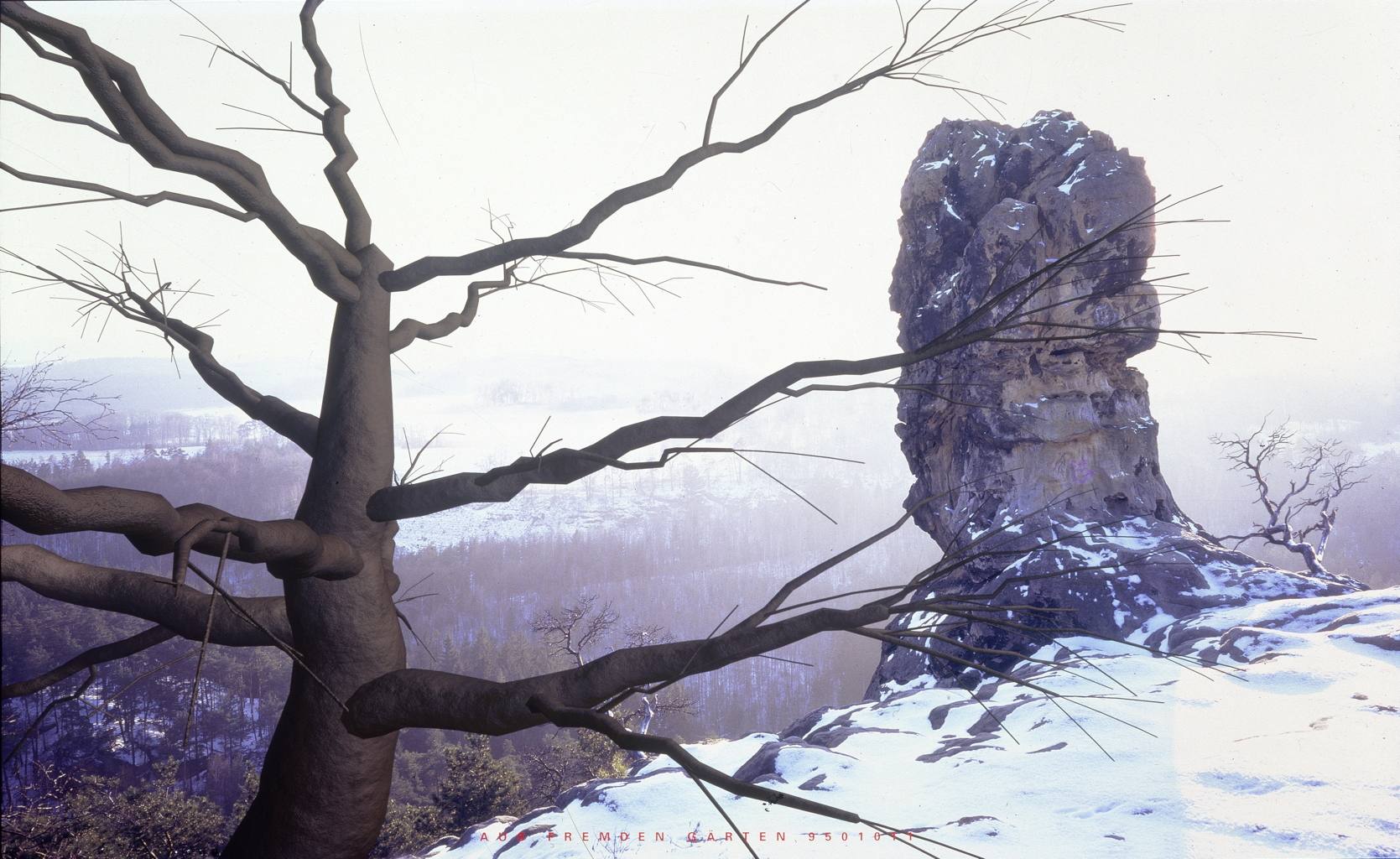AUS FREMDEN GÄRTEN 9501011 (Felsen)