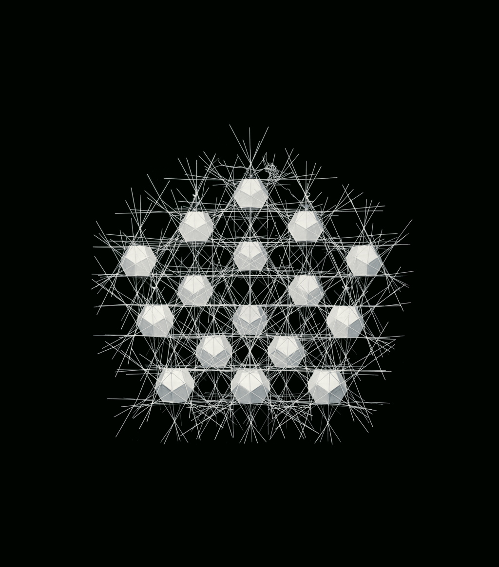Polyhedral Net Structure #2