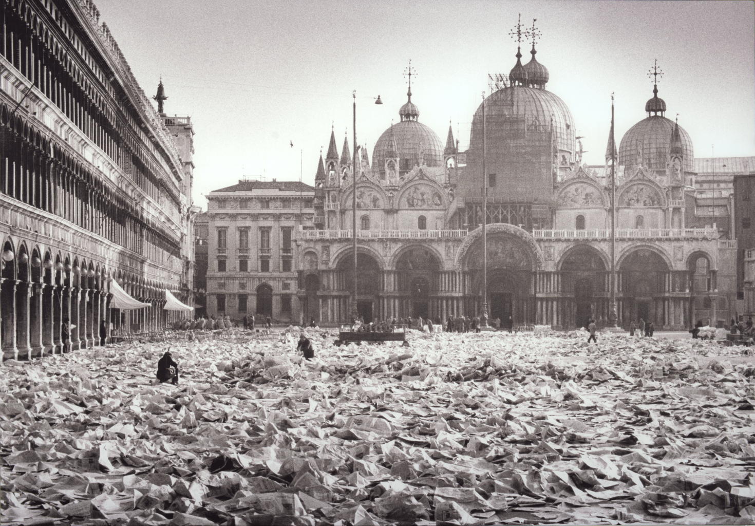Venezia Vive
