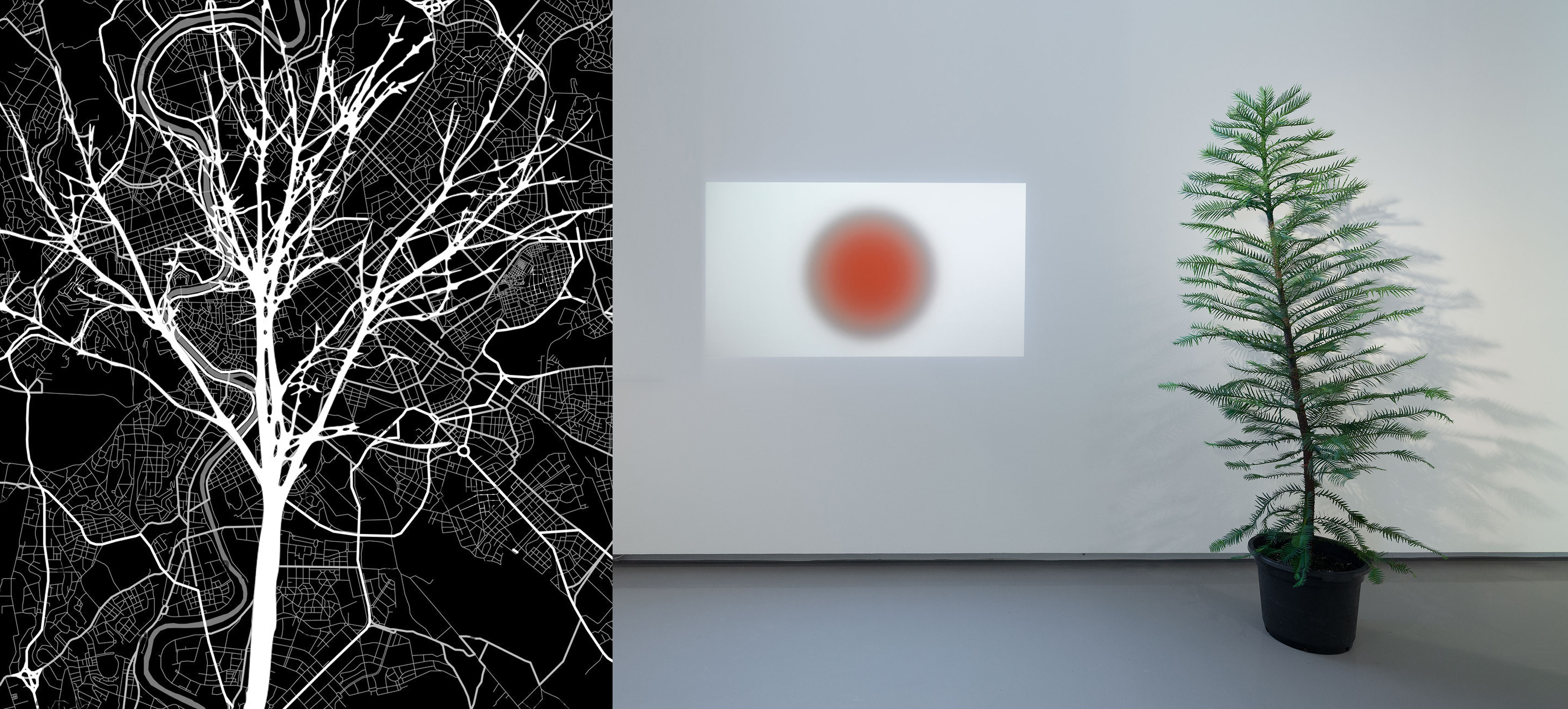 Auf der einen Seite ist ein Bäumchen zu sehen, welches im Raum steht, auf der anderen Seite sieht man den Baum als abstraktes Kunstwerk, indem die Zweige als Verästelungen die Linien des Kunstwerkes zeichnen.