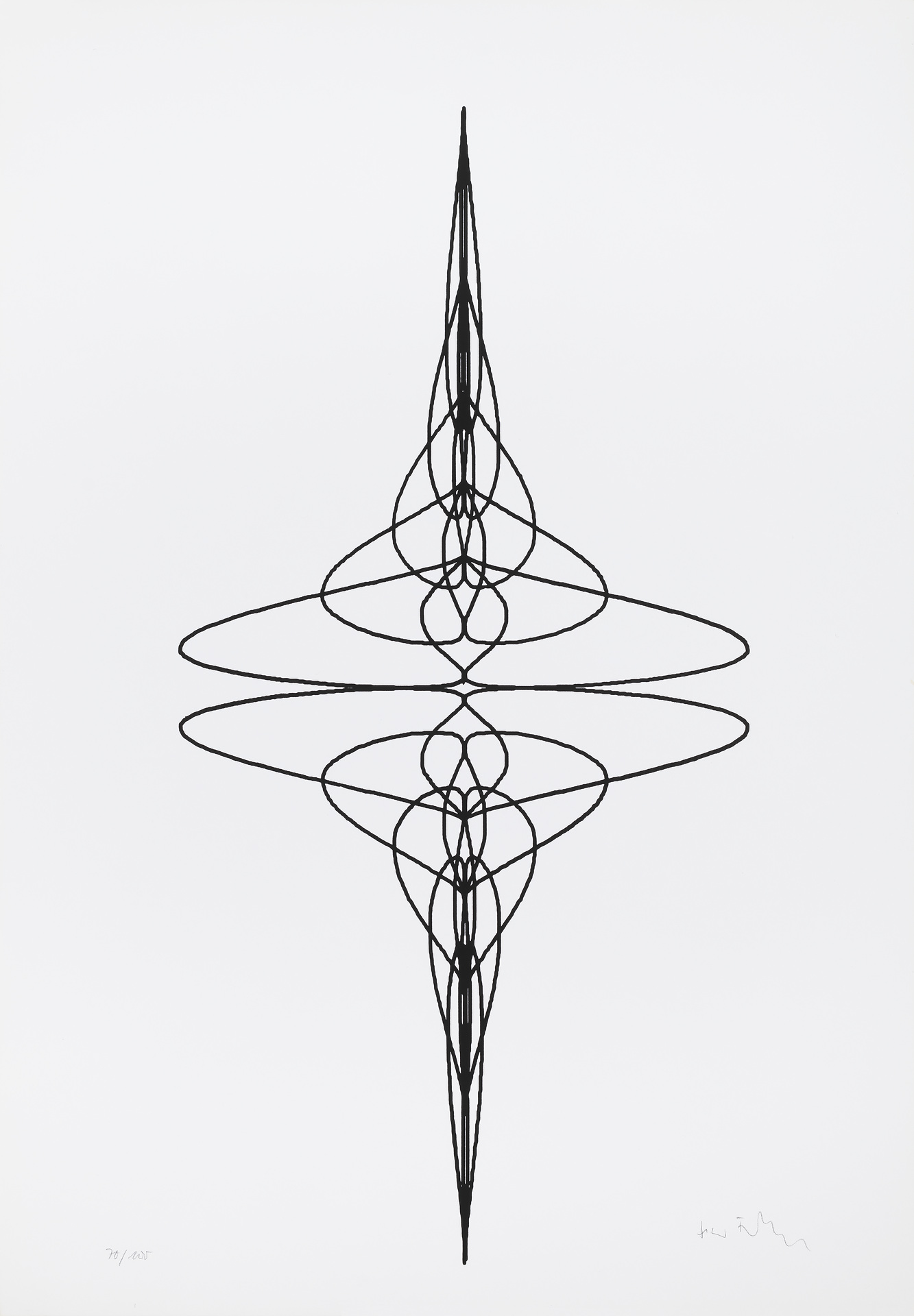 Algebraische Kurven 