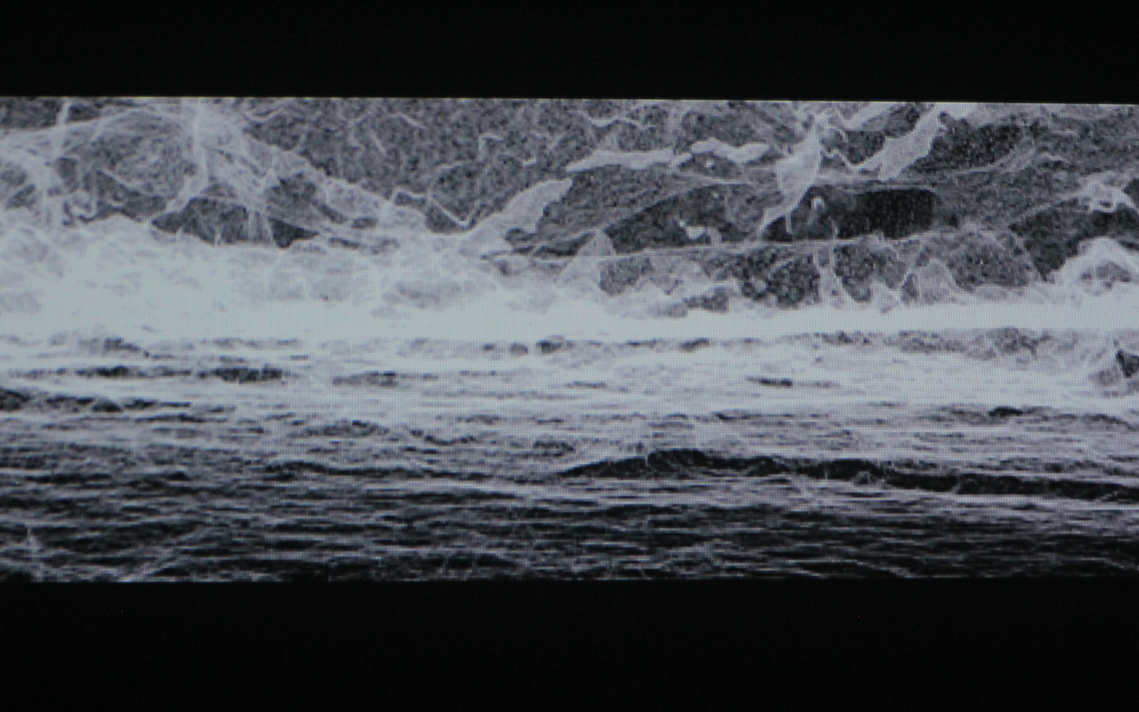 black and white waves