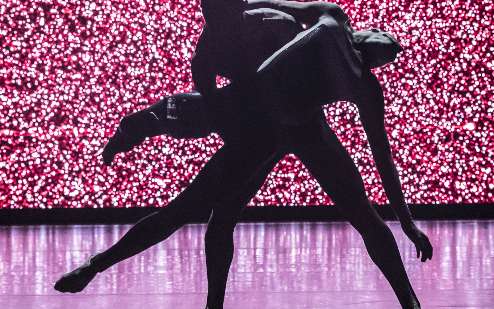 Die Silhouette zweier ineinander verwobener TänzerInnen vor einem pink angeleuchteten HIntergrund