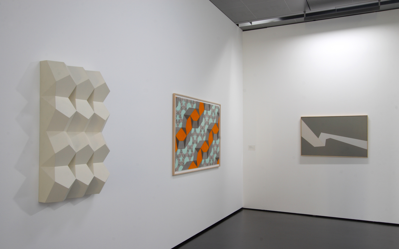 Ausstellungsansicht "Mein Gen, das hat fünf Ecken..."
