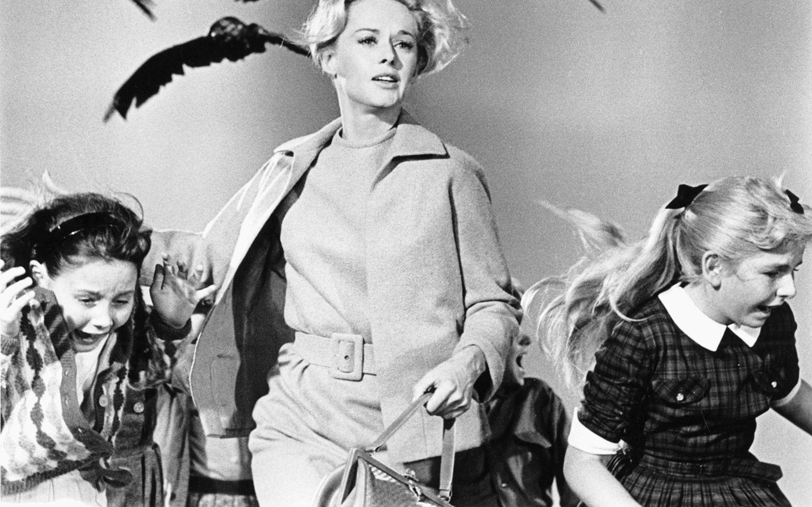 Birds by Hitchcock 1963