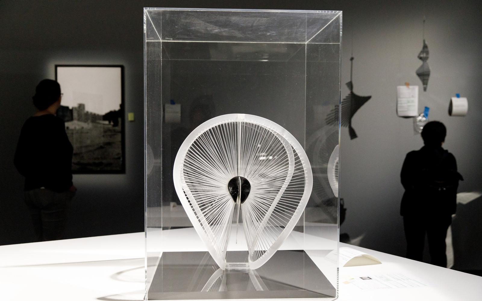Ein schwungvoll gearbeitetes Kunststoffband ist von zahlreichen Fäden umspannt. Die Fäden sind radial angeordnet wie die Speichen eines Fahrrads. 