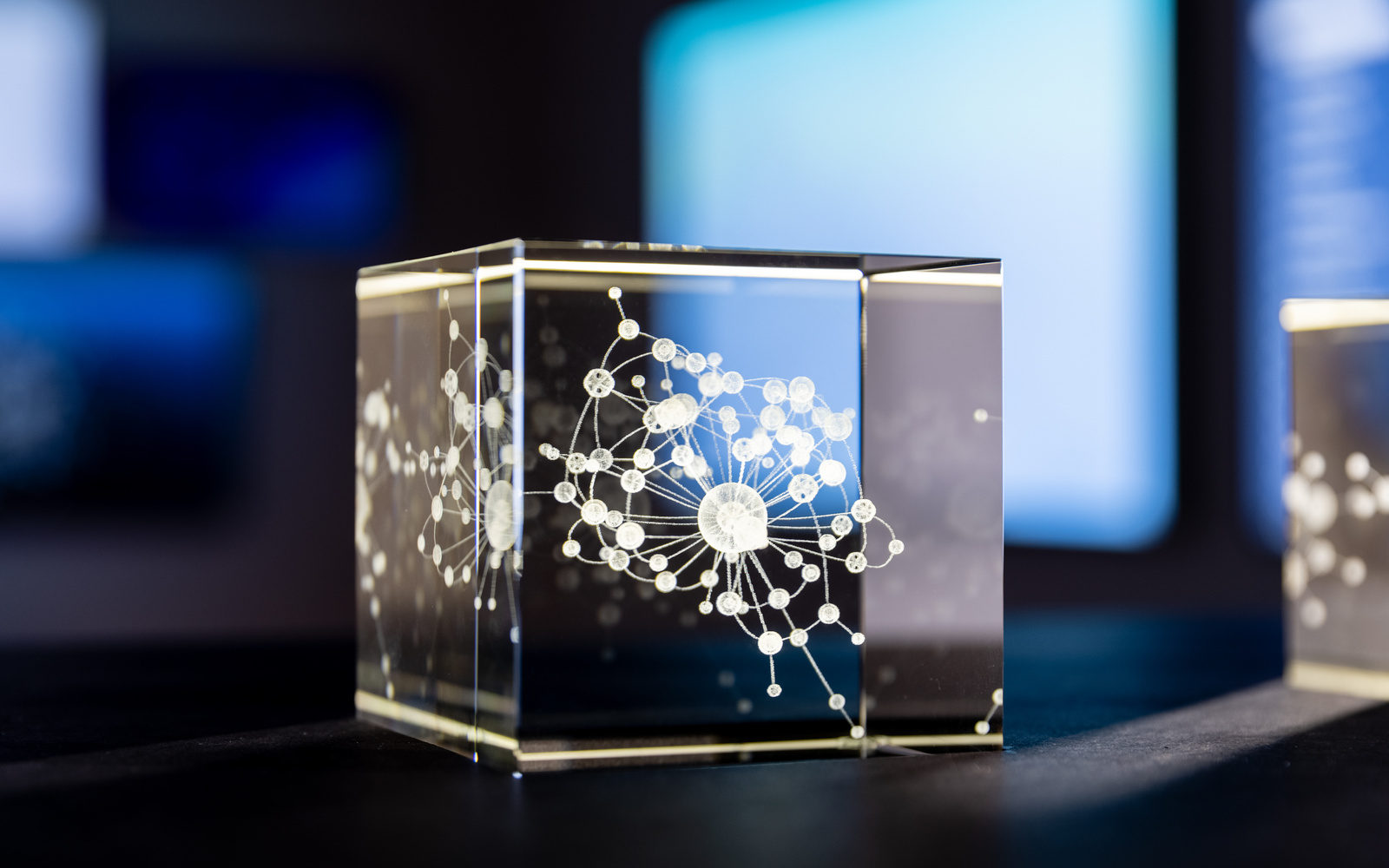 Eine Nahaufnahme einer kleinen Glasbox, in die ein Netzwerk eingraviert ist.