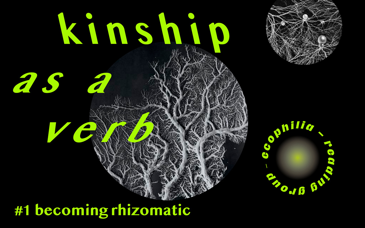 Black and grey image with circular shapes containing abstract nature-like structures and neon yellow lettering above it