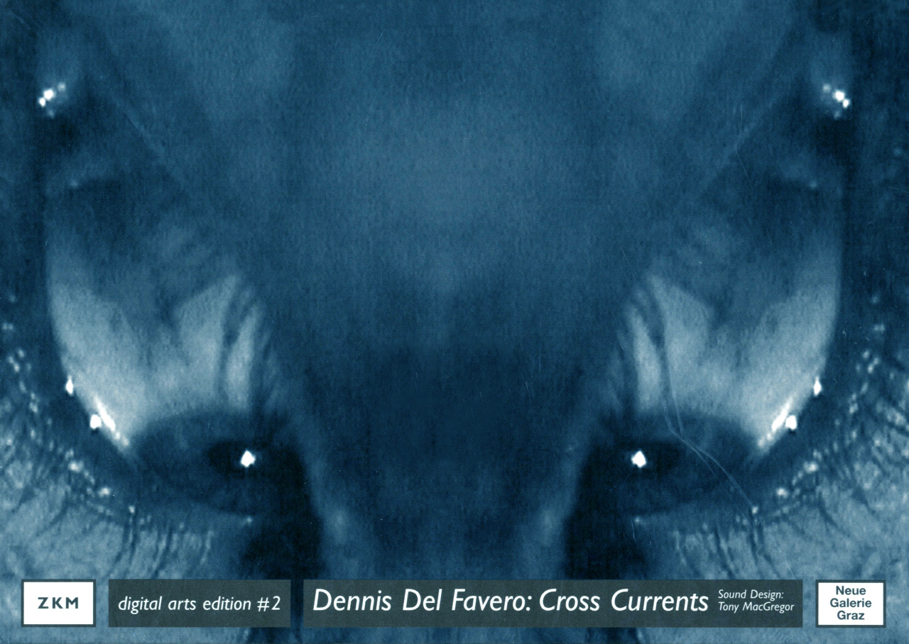 Cover der Publikation »Dennis Del Favero: Cross Currents«