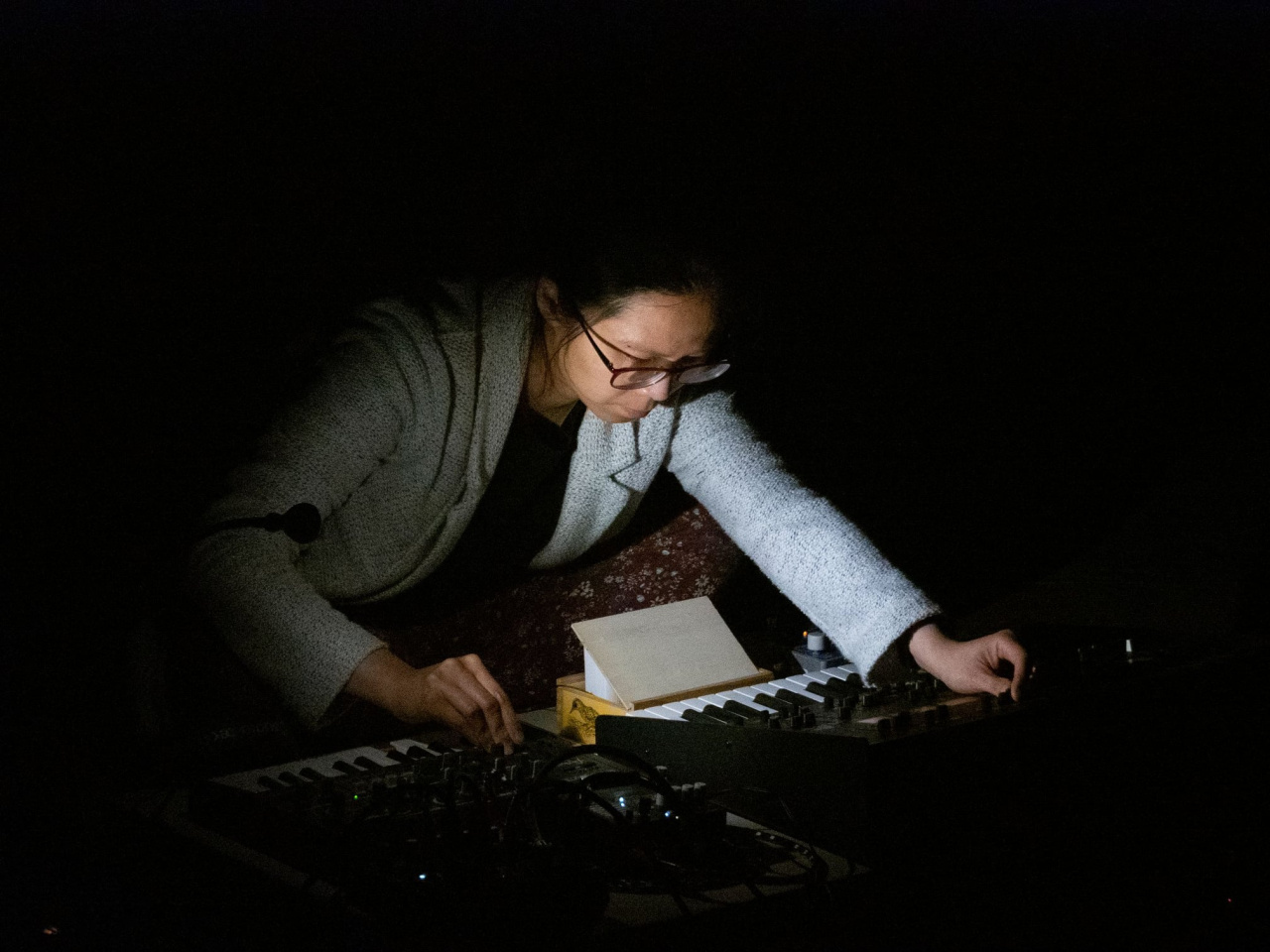 Lam Lai at a performance