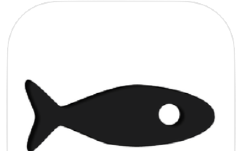 Screenshot der App »Small Fish«