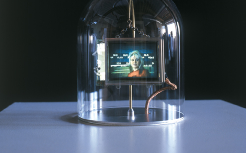 Lynn Hershman Leeson, Installationsansicht von Synthia,  2000–2002