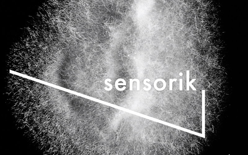 Black cover with white font, lines and an explosive structure in the center of the picture.