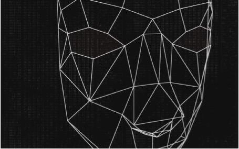 Grid-like representation of a face with white lines on a black background
