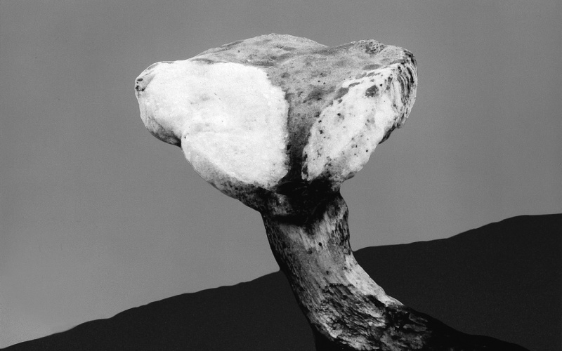 Mushroom