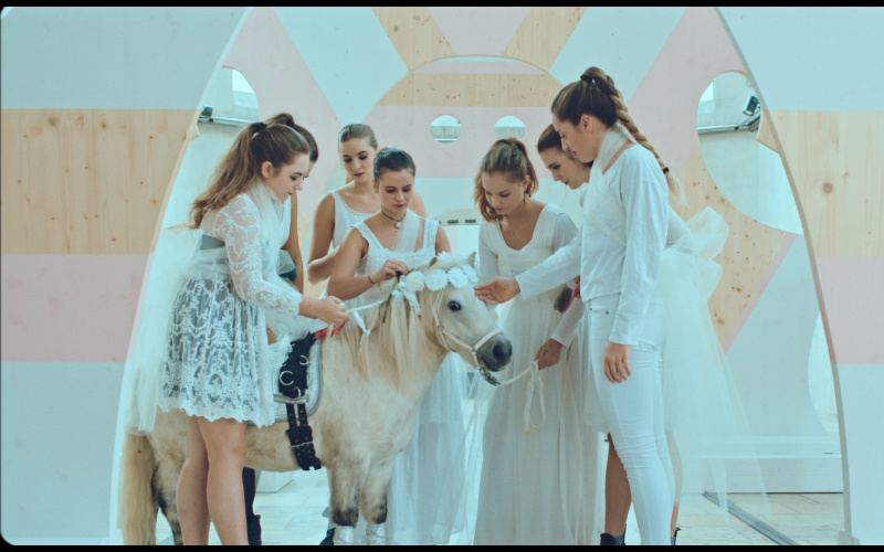 The photo shows a white pony surrounded by seven girls in white clothes.