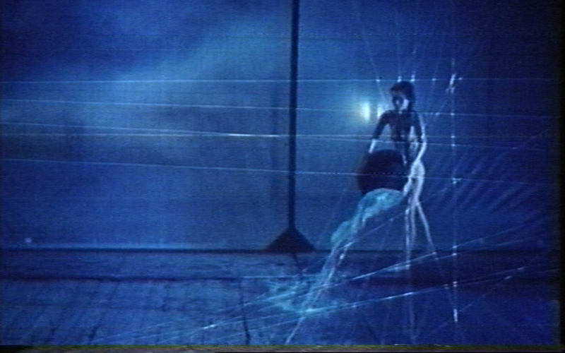 Homage to Eadweard Muybridge