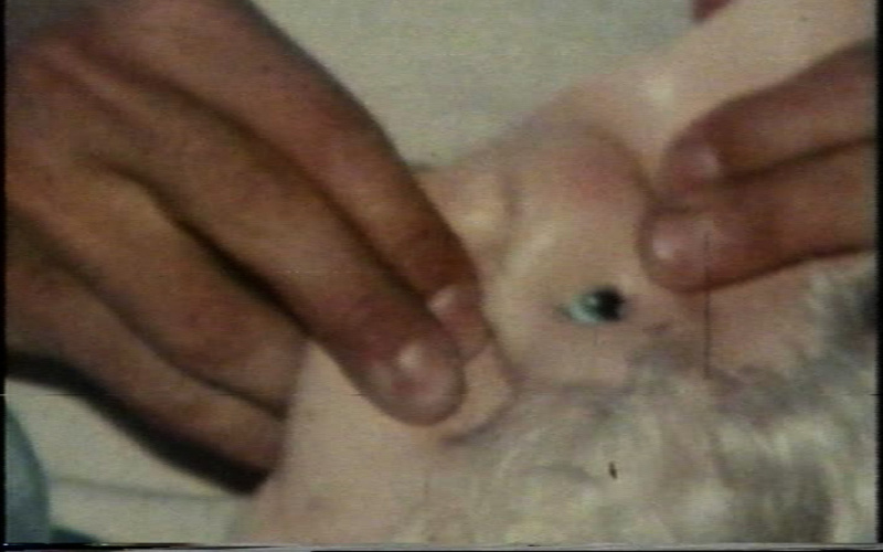 Baby cry