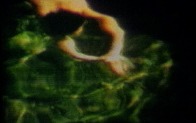 Transparenz