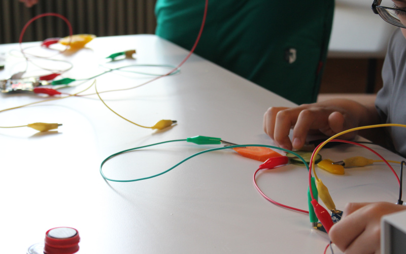 Wir sehen einen Calliope mini, von dem mehrere Kabel weg führen. An deren Enden wiederum verschiedenes Gemüse angeschlossen ist.
