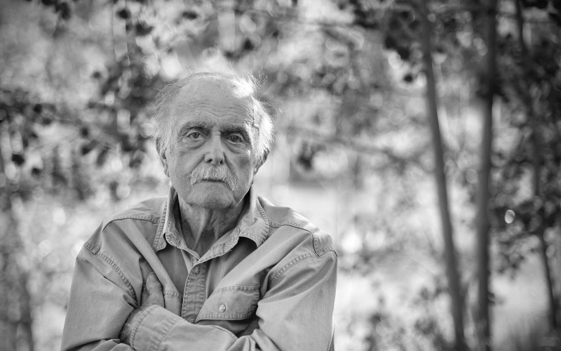 You can see the portrait of an old man looking directly into the camera. 