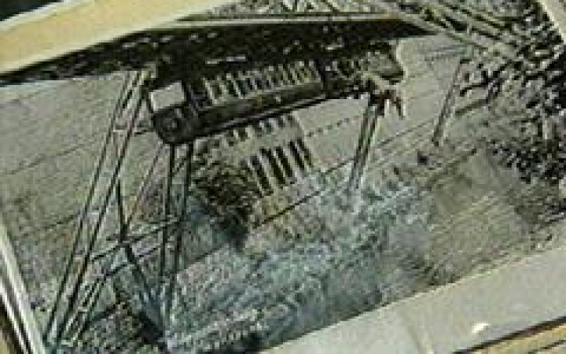 Der Fall des Elefanten