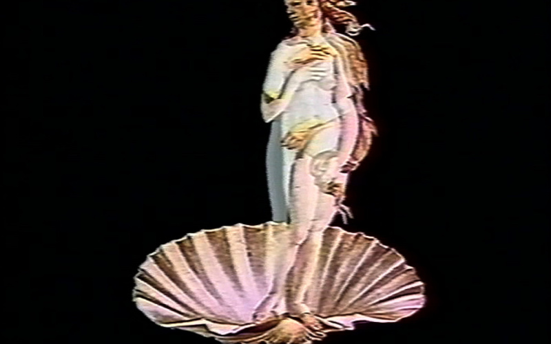 Madonnas of the Flowers