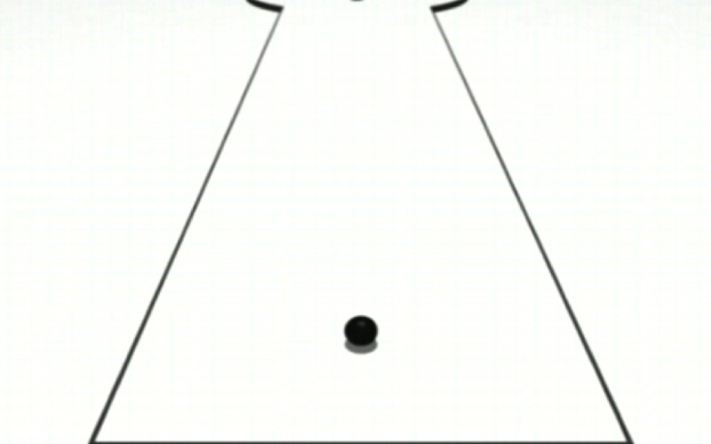 Hole in One: 24 Denkstationen 