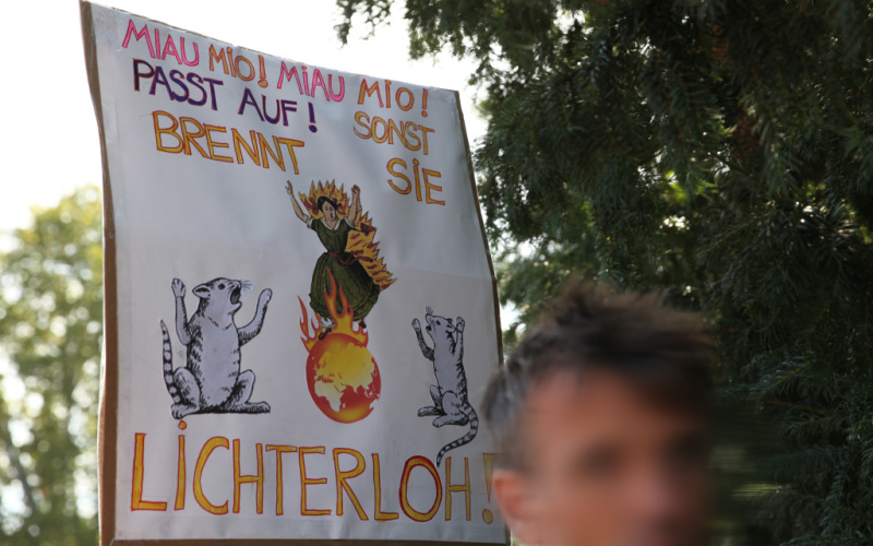 Das gezeigte Plakat wurde während der Demonstration von Fridays for Future am 20. September 2019 von SchülerInnen hochgehalten. Auf ihm ist eine brennende Weltkugel zu sehen.
