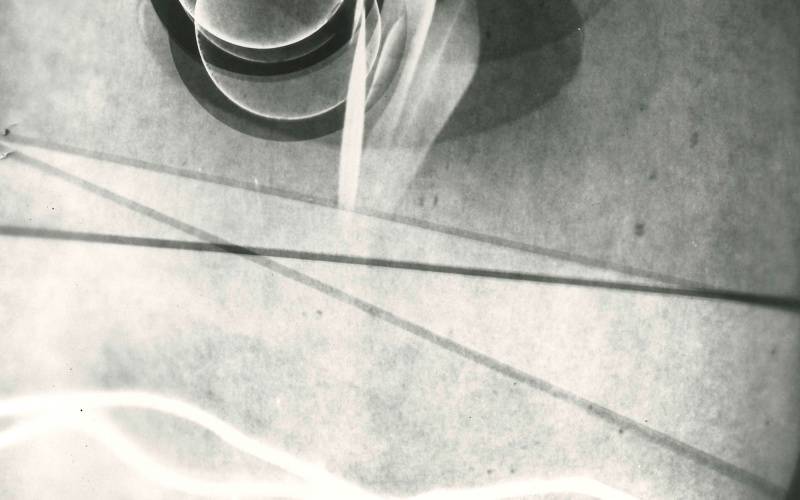Fotogramm mit Ringen und Federn.