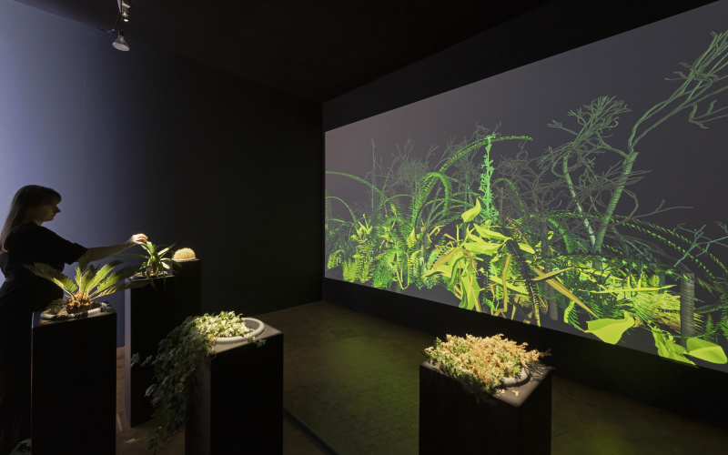 Blick in die Ausstellung auf die Installation »Interactive Plant Growing«