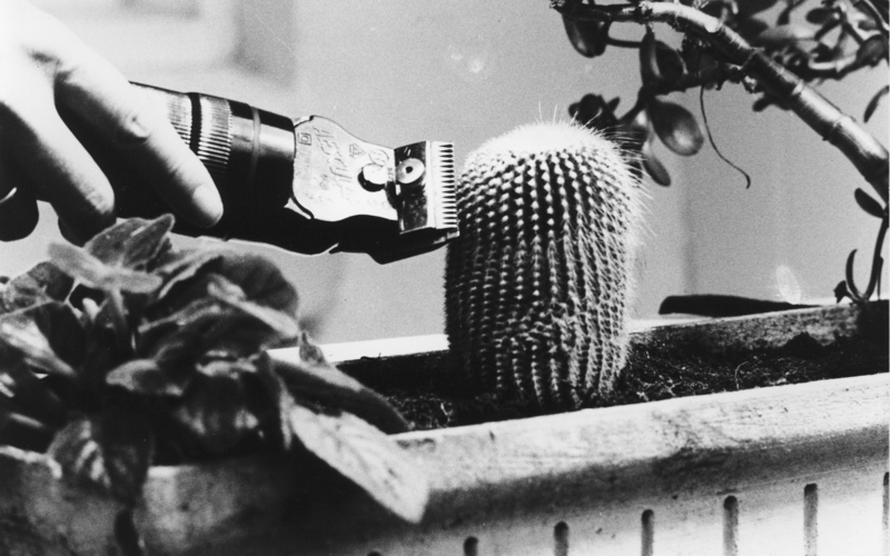 Während der Dreharbeiten zu Ger van Elks Beitrag für ›IDENTIFICATIONS‹ (II. Fernsehausstellung der Fernsehgalerie Gerry Schum), 1970