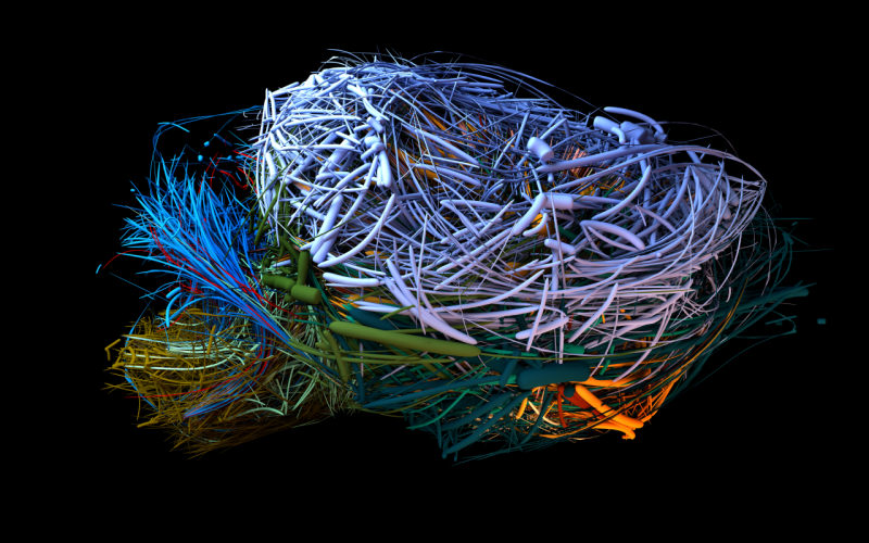 i7204_21_zkm_r_pg_pm_biologischenetzwerke_.png