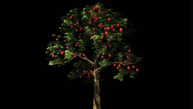 135_W_1997_6_Tree.jpg