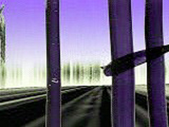 s033801.jpg