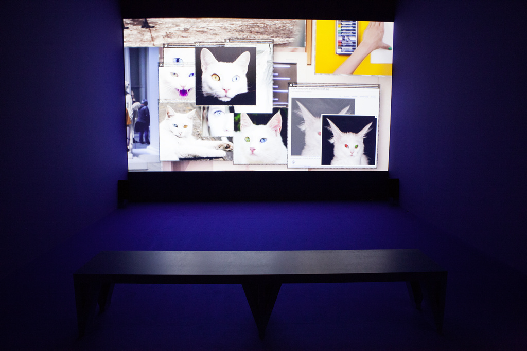 Ein Monitor vor einer Blauer Wand.
