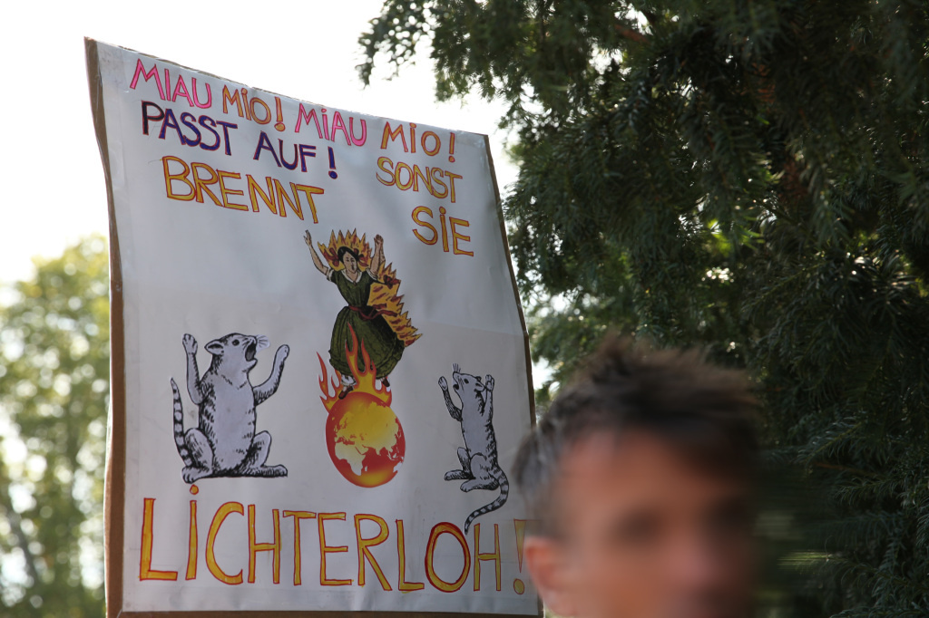 Das gezeigte Plakat wurde während der Demonstration von Fridays for Future am 20. September 2019 von SchülerInnen hochgehalten. Auf ihm ist eine brennende Weltkugel zu sehen.