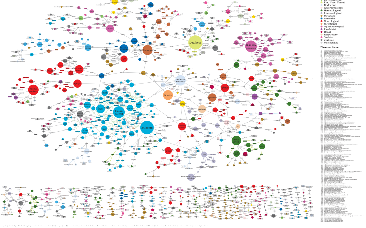 Ein Netzwerk von verschiedenen Krankheiten, dargestellt durch vernetzte Punkte in unterschiedlichen Farben