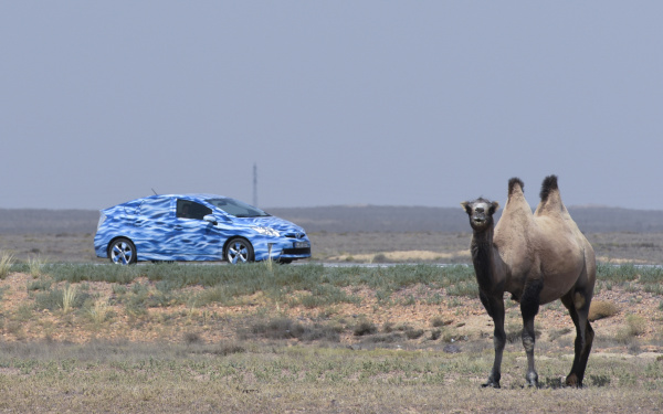 A blue car and a camel