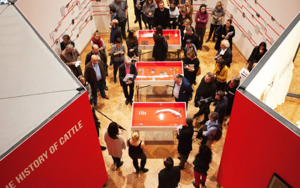 People stand in front of vitrines with exhibits