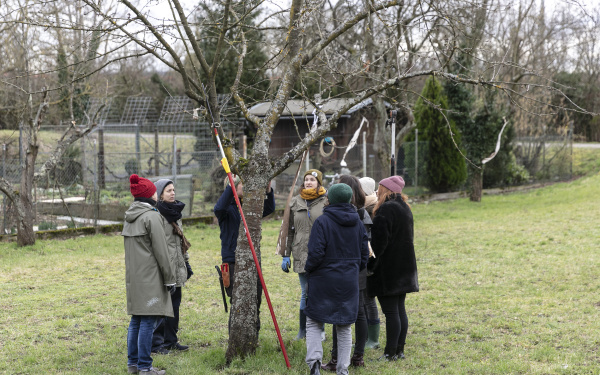 Eine Gruppe von Menschen stehen auf einer Wiese um einen Baum. 