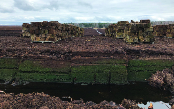 Eine einsame und eintönige Landschaft. Auf Holzpaletten stehen hohe Stapel von Torf-Klötzen. Vorne im Bild zieht sich ein kleiner Abhang. Der Himmel ist bewölkt.