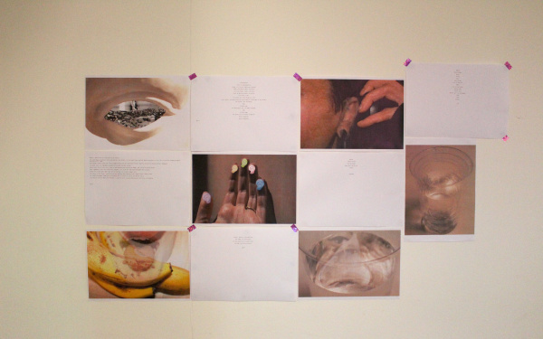 Zu sehen sind verschiedene Fotoaufnahme auf der Wand im Rahmen der Veranstaltung »Art im Puls«.