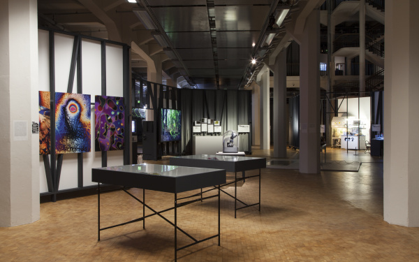 View into the exhibition «GLOBALE: Exo-Evolution», October 31, 2015 - February 28, 2016, ZKM | Center for Art and Media Karlsruhe