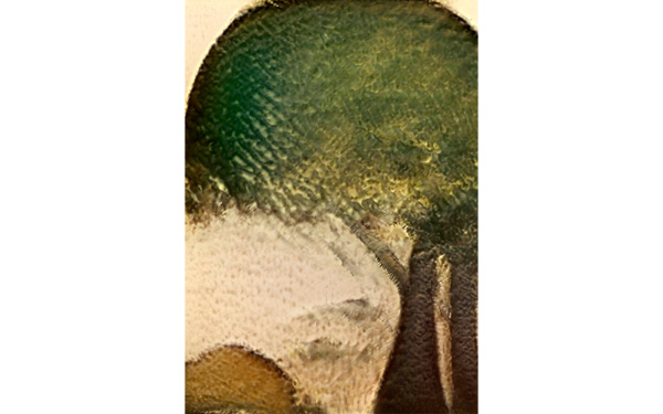 02_flora_mac