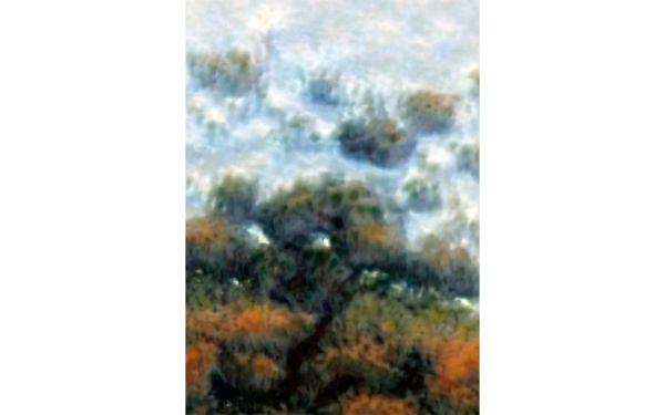 02_flora_mp